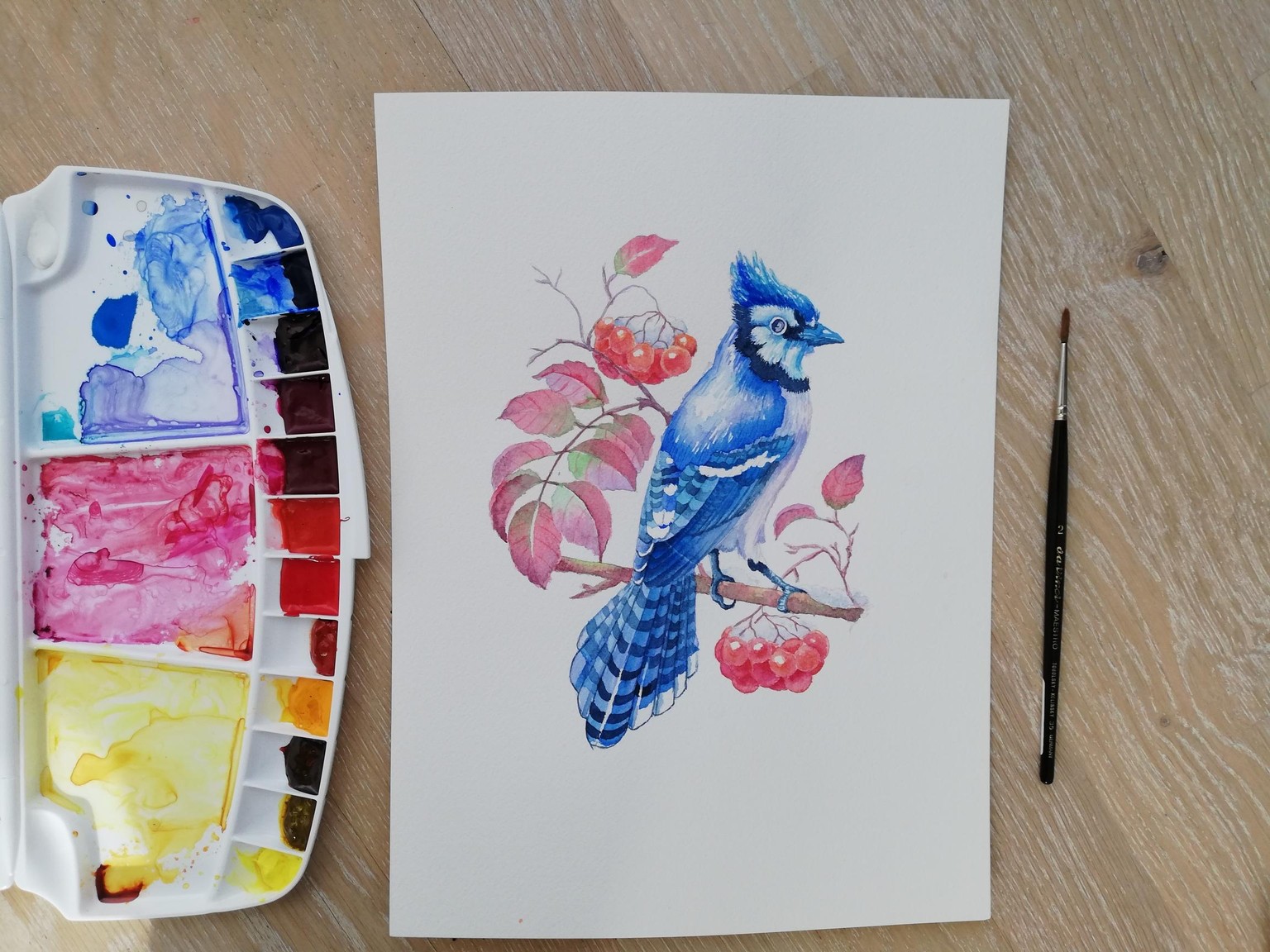Watercolor BlueJay - image 1 - student project