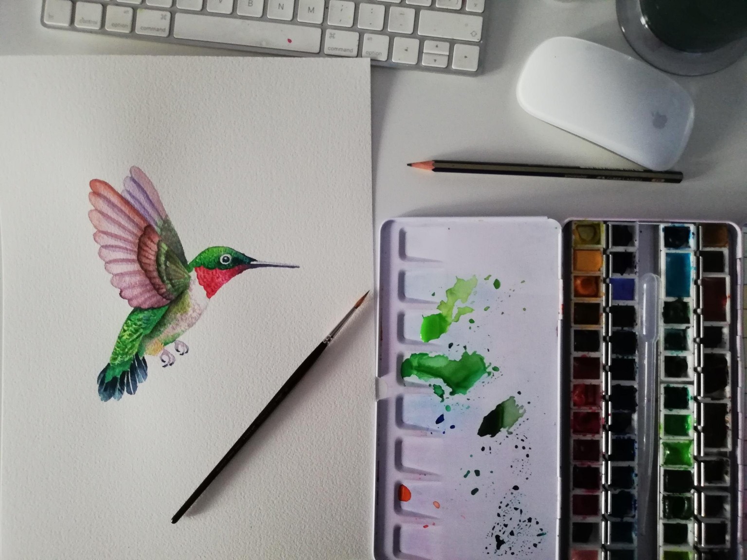 Watercolor hummingbird - image 1 - student project