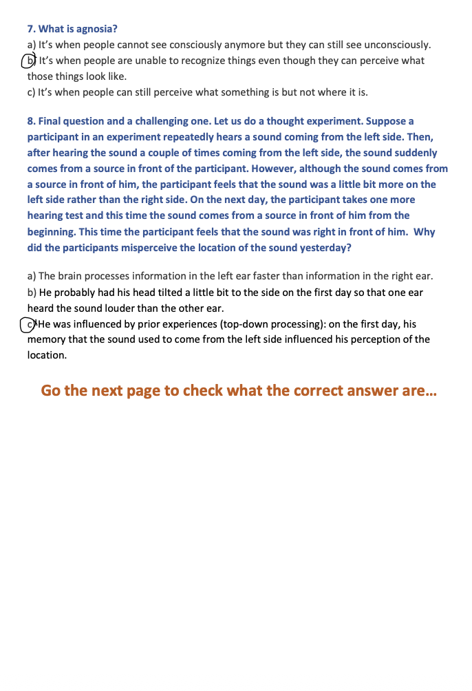 Perception quiz - image 2 - student project