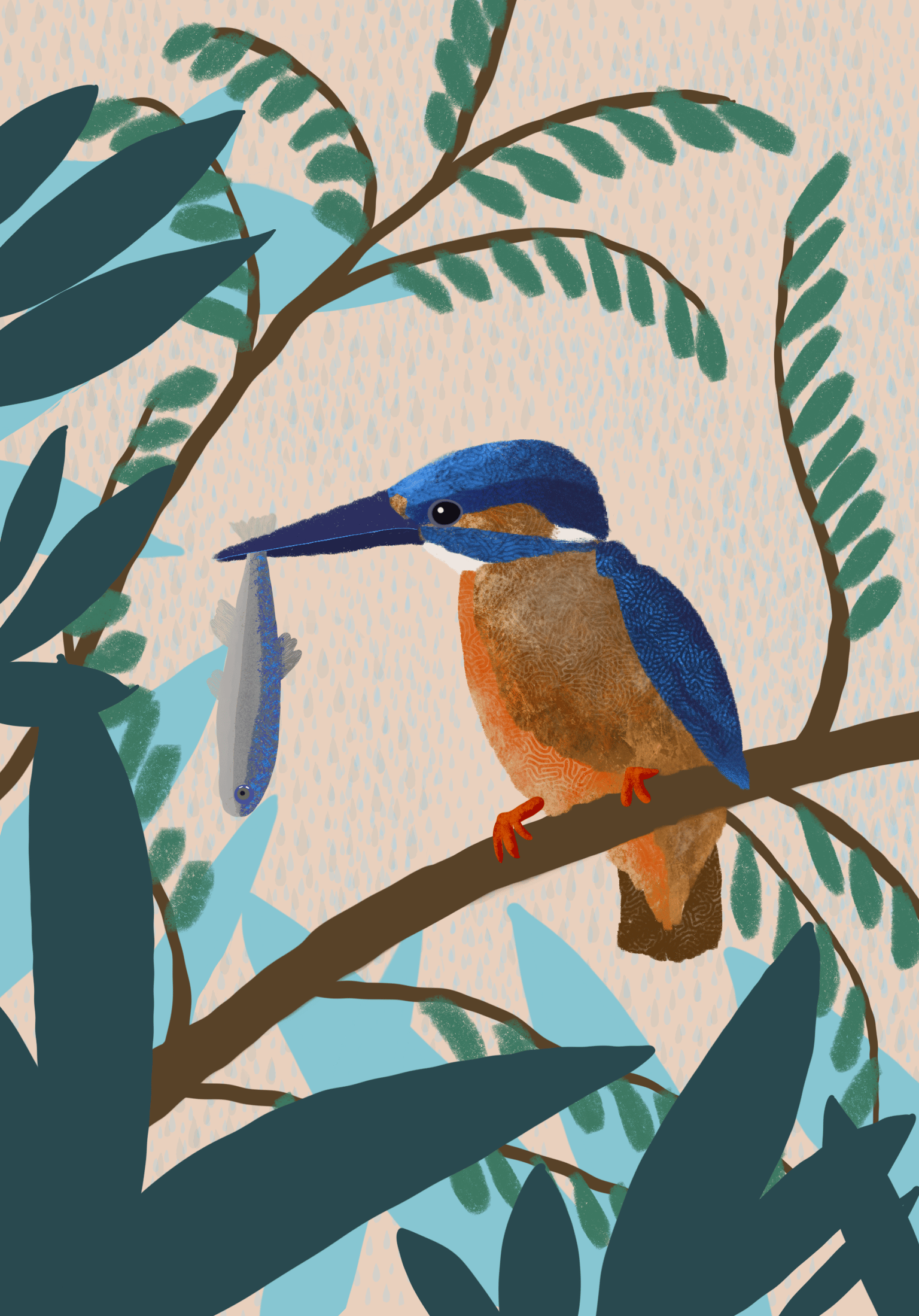 Kingfisher's lunch - image 3 - student project