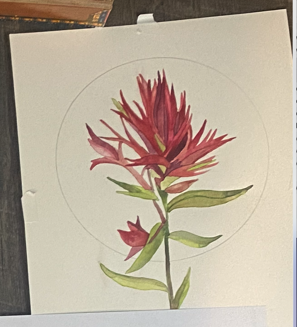 Digitizing Watercolor and Ink - image 1 - student project