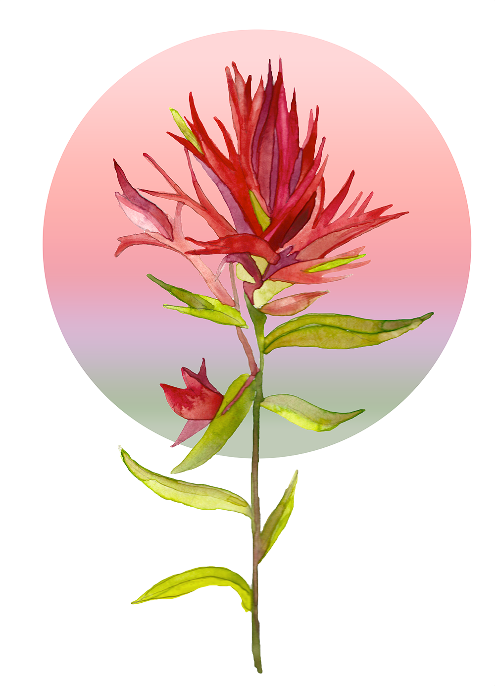 Digitizing Watercolor and Ink - image 3 - student project