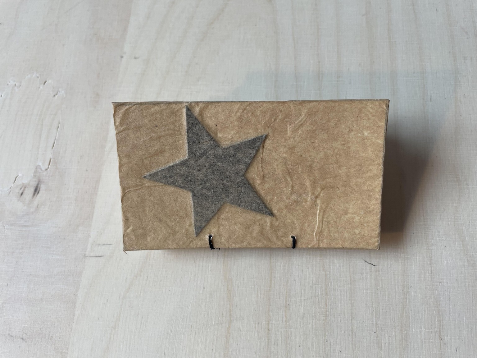 Mini Books - image 5 - student project