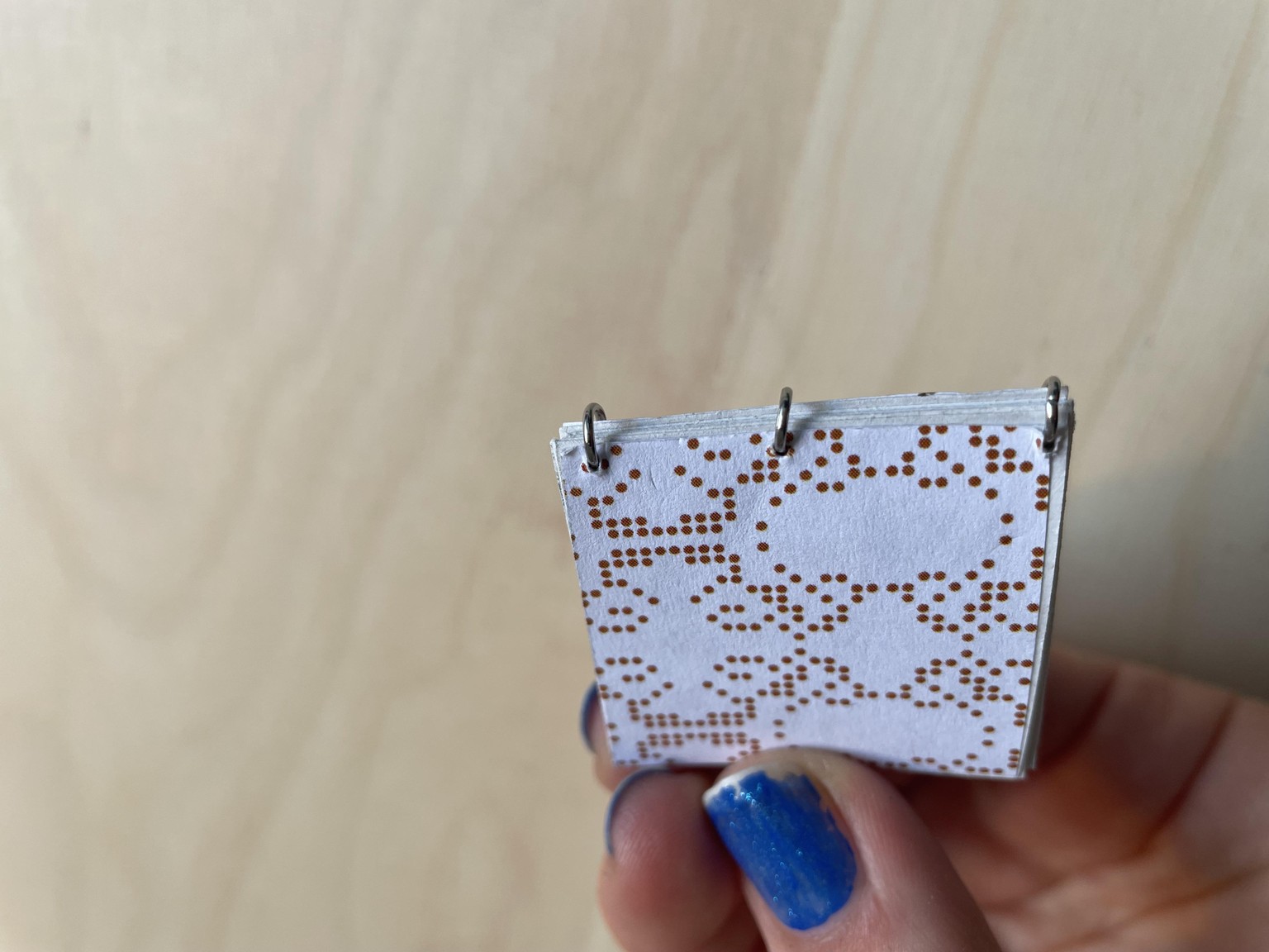 Mini Books - image 6 - student project