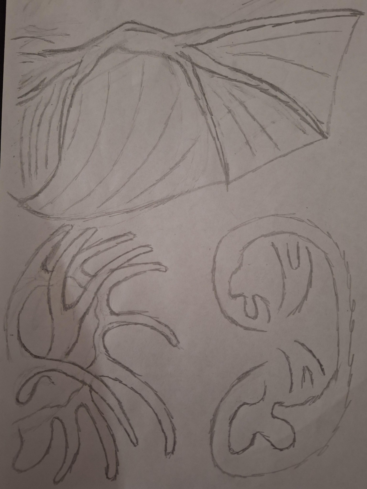 Ear Notes and Final Ears - image 10 - student project