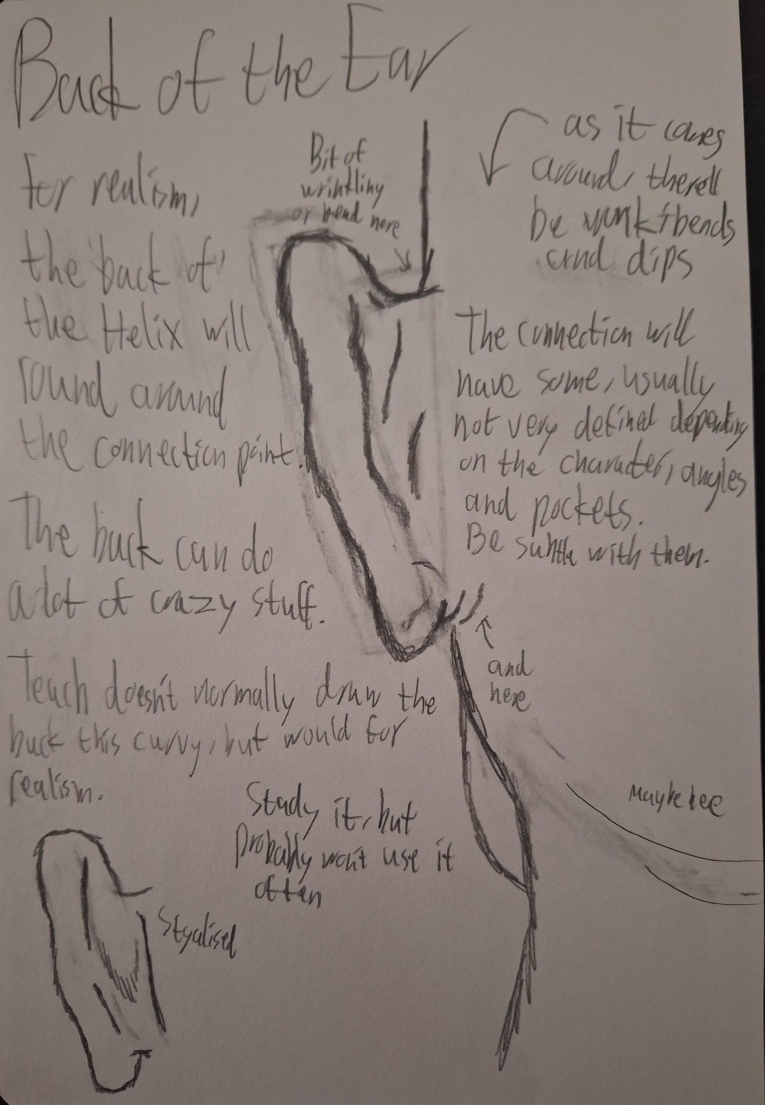 Ear Notes and Final Ears - image 4 - student project