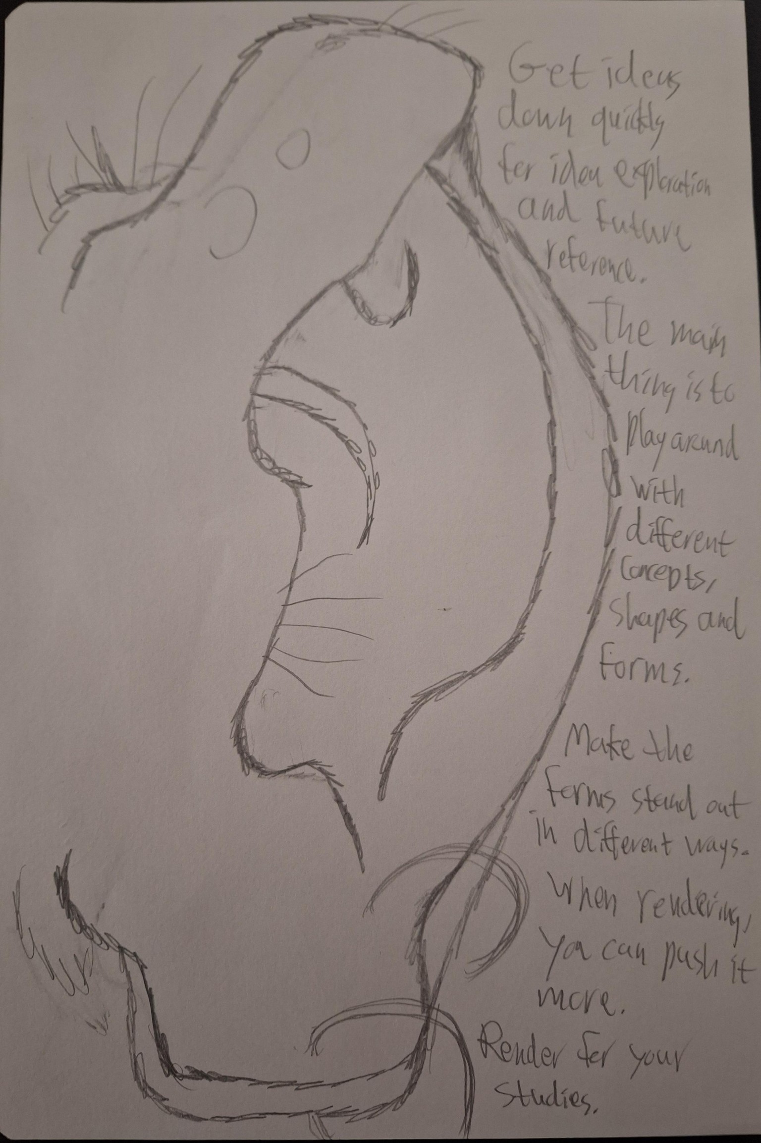 Ear Notes and Final Ears - image 7 - student project