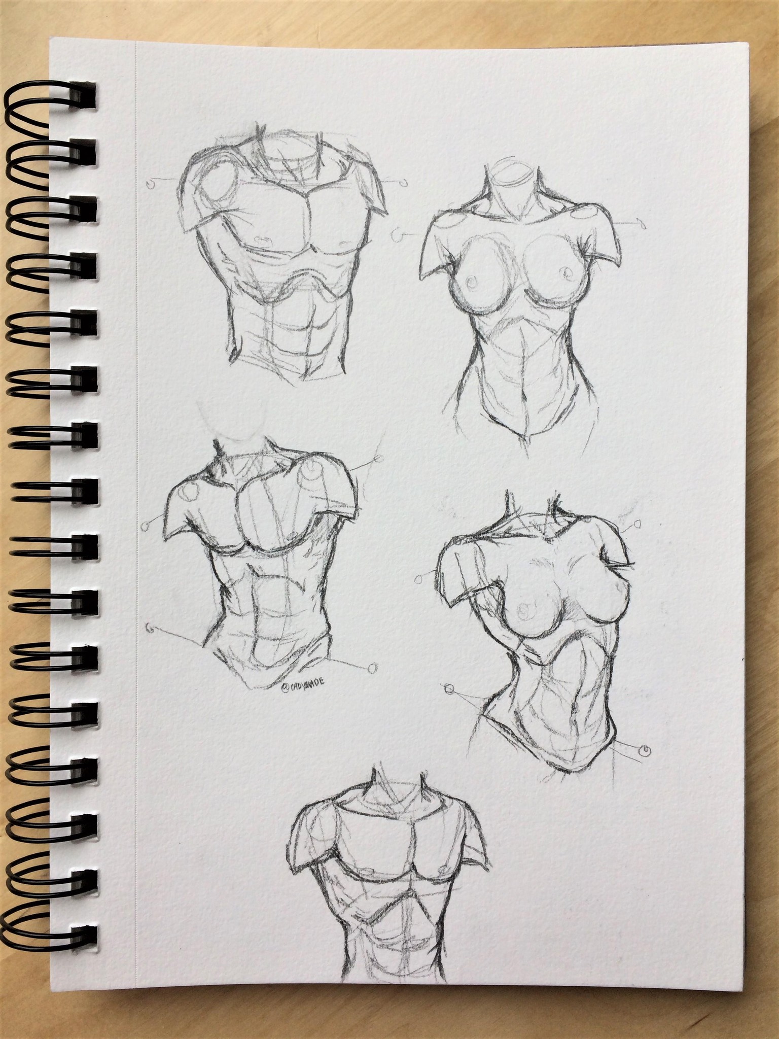Figure Studies - image 3 - student project