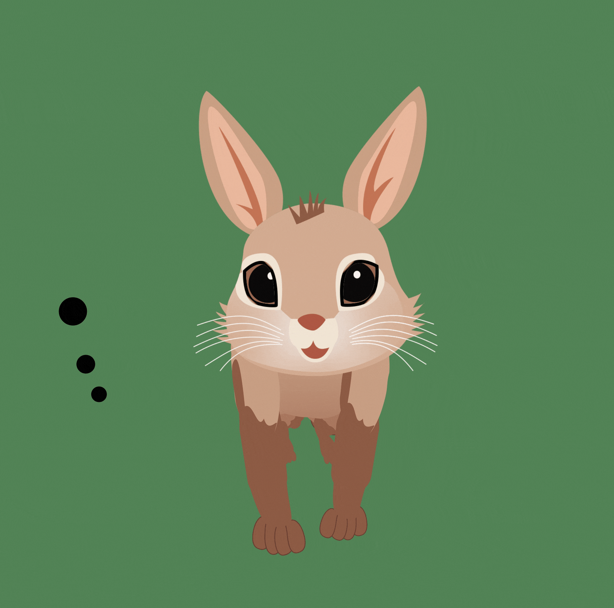 Rabbit Run - image 1 - student project