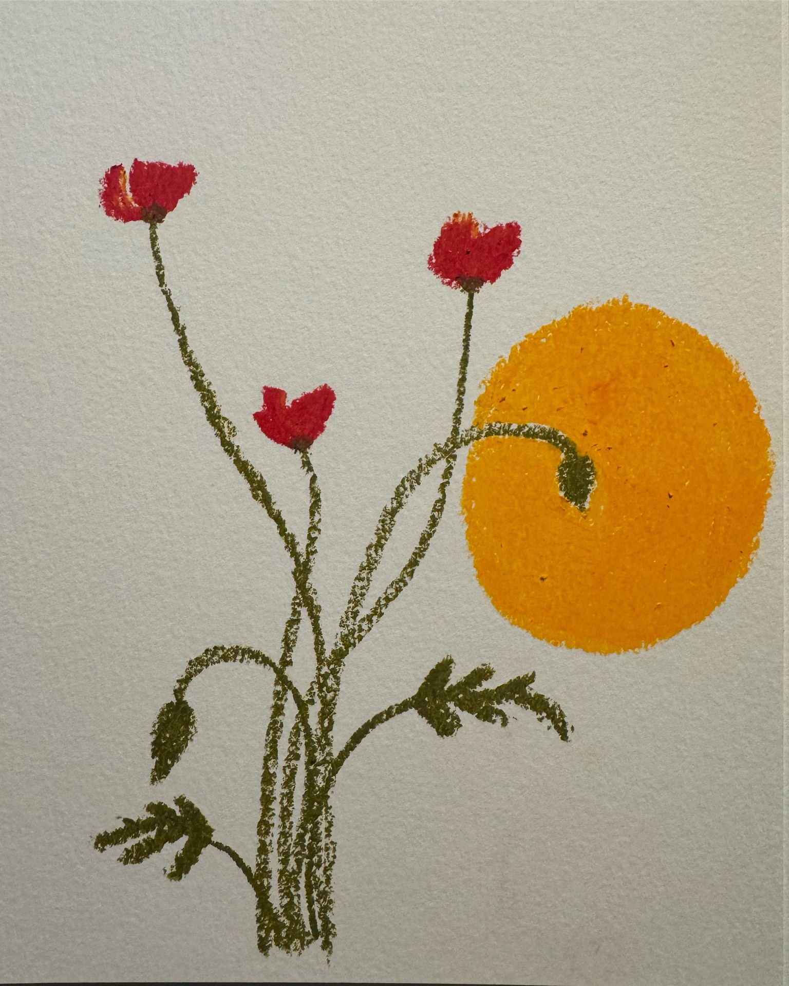 Red poppies - image 1 - student project