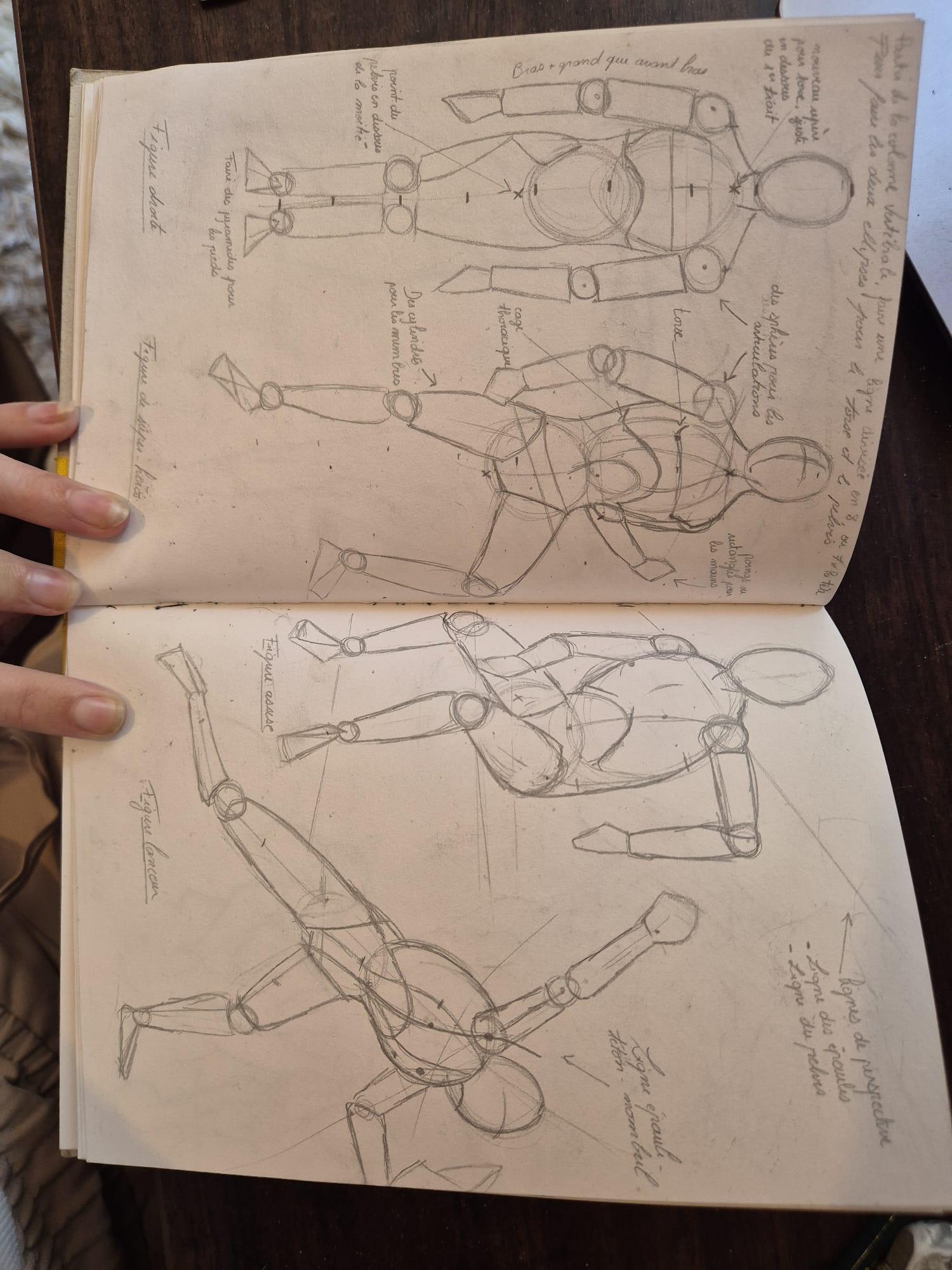 Anatomy work - image 2 - student project