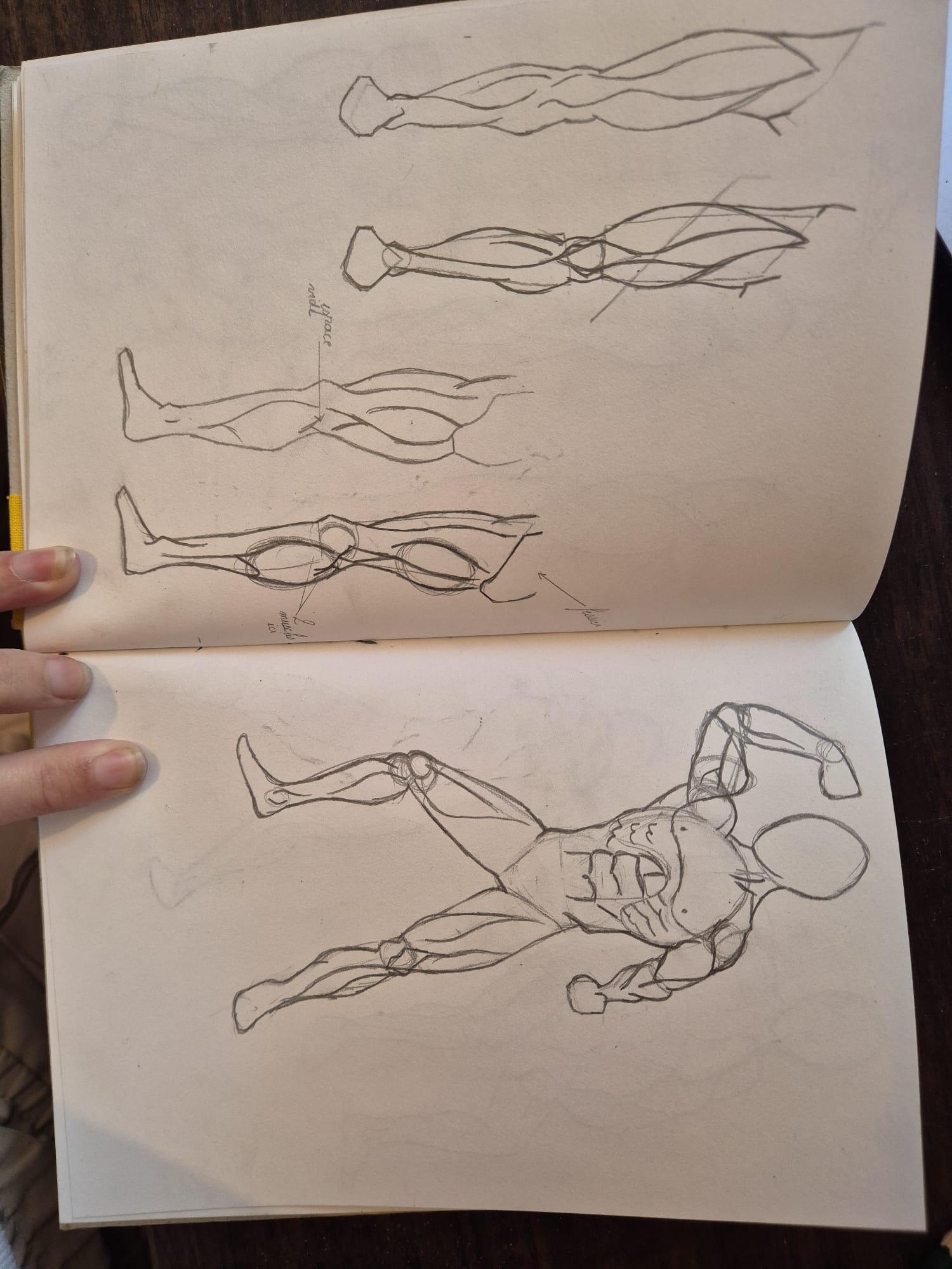 Anatomy work - image 4 - student project