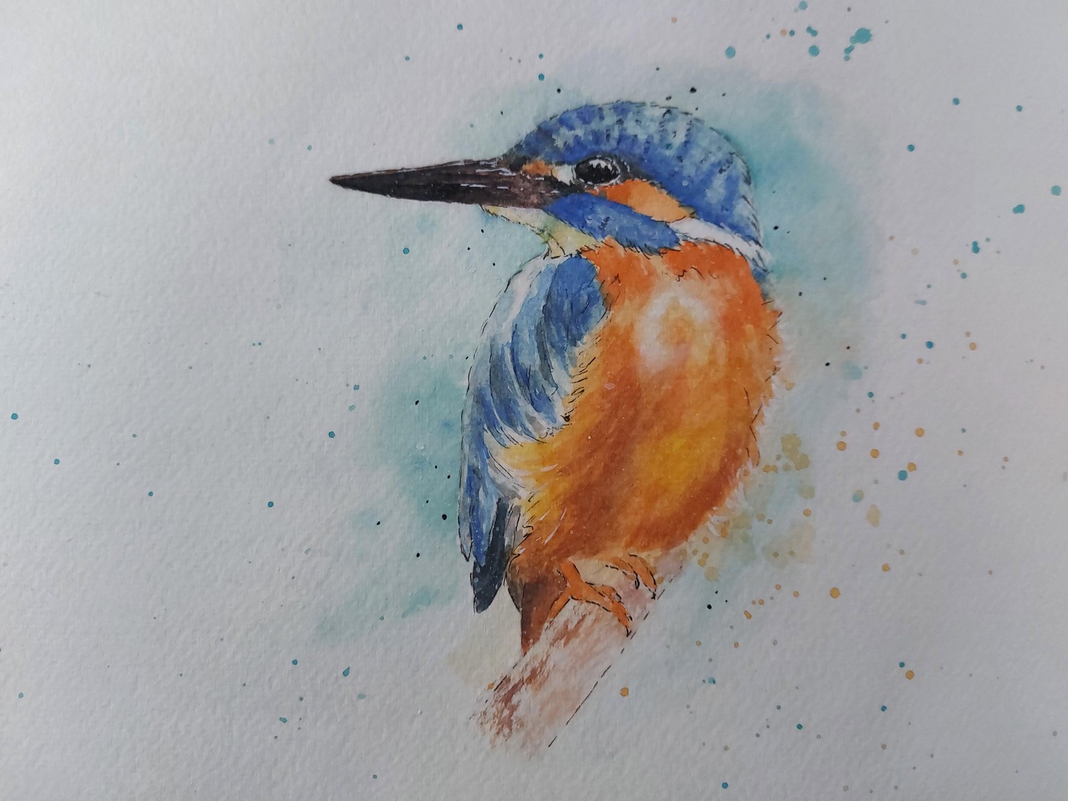 My 1st Kingfisher - image 1 - student project
