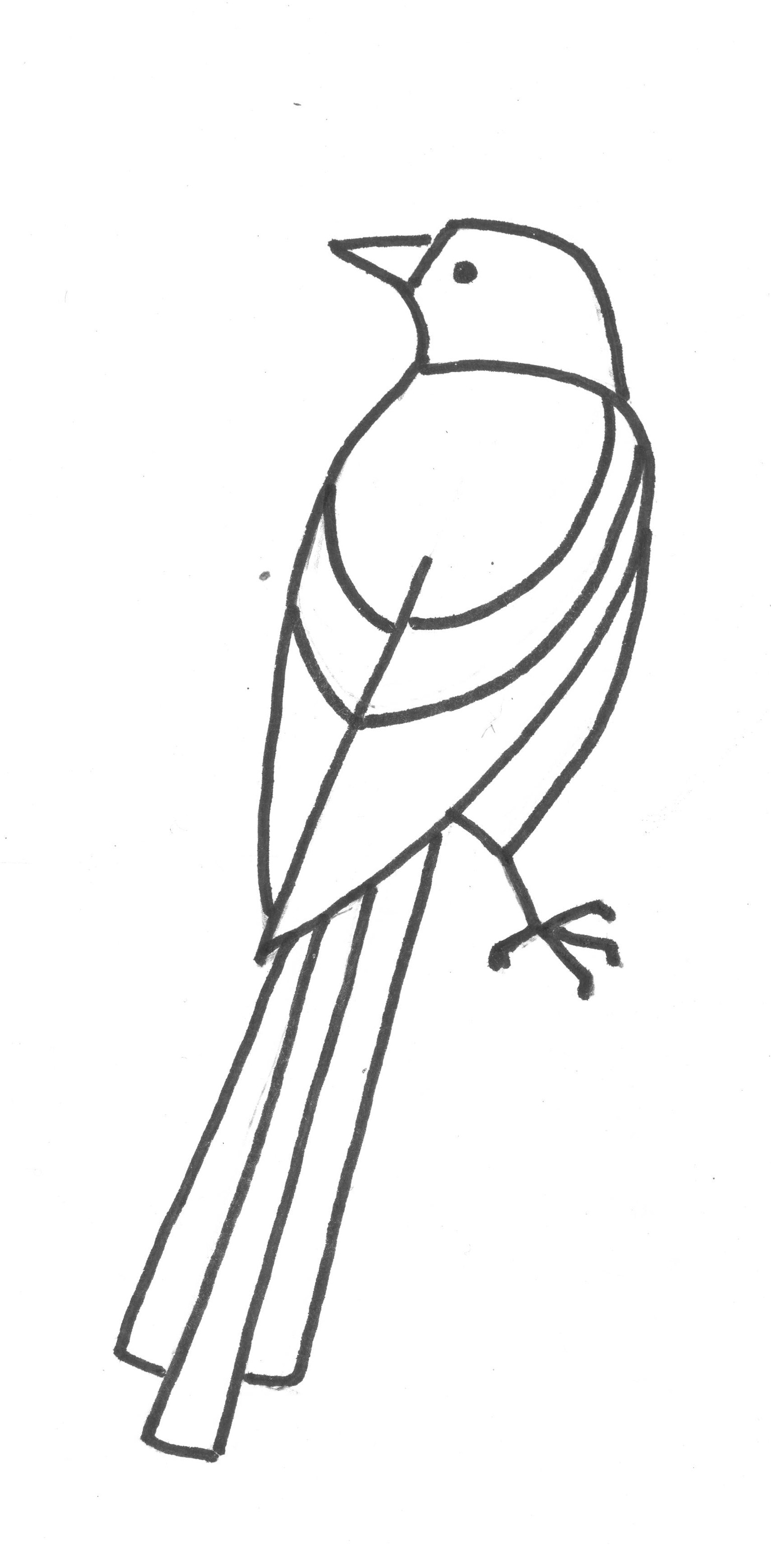 Lined-up Birds - image 1 - student project