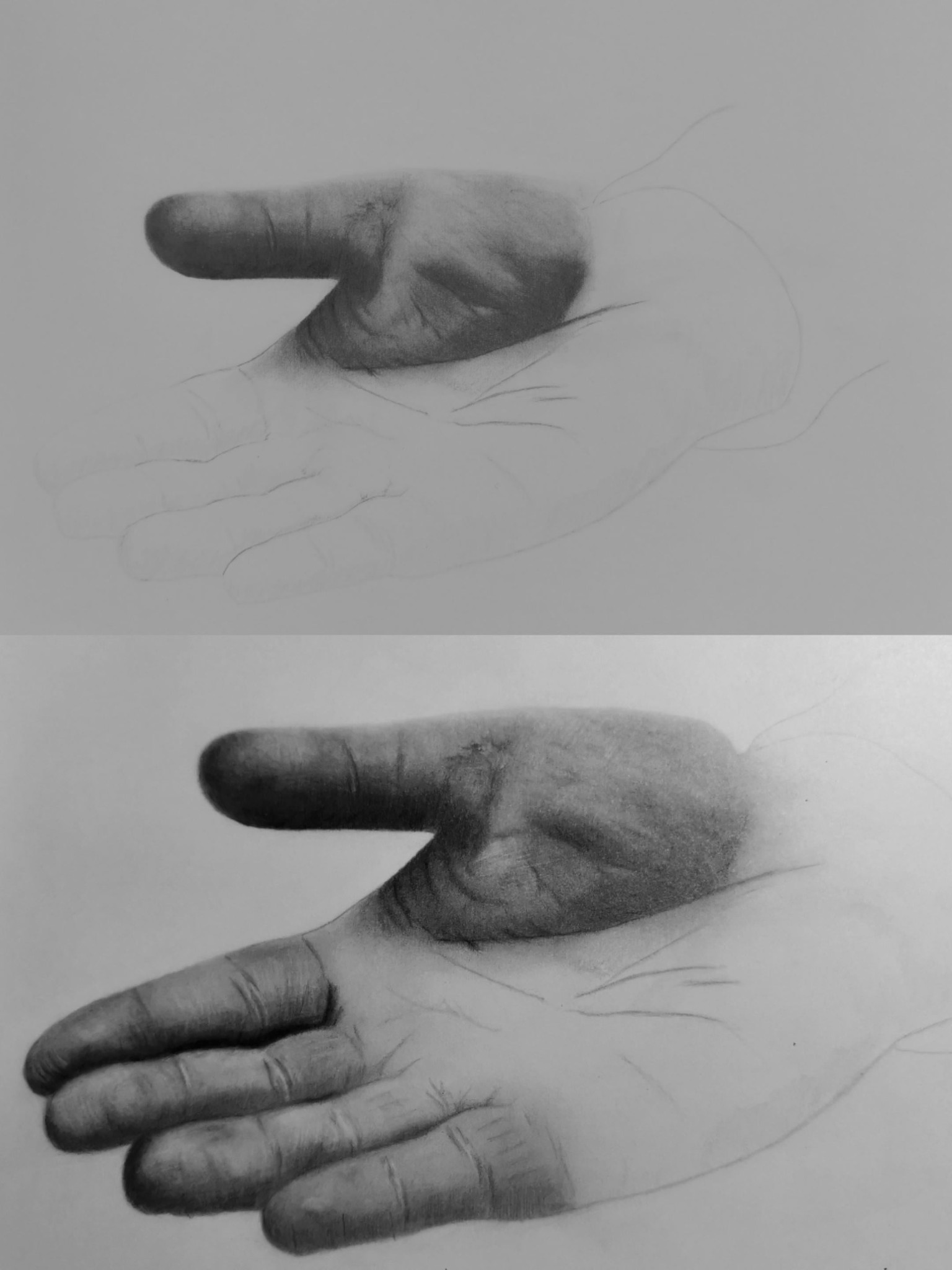 Hand - image 1 - student project