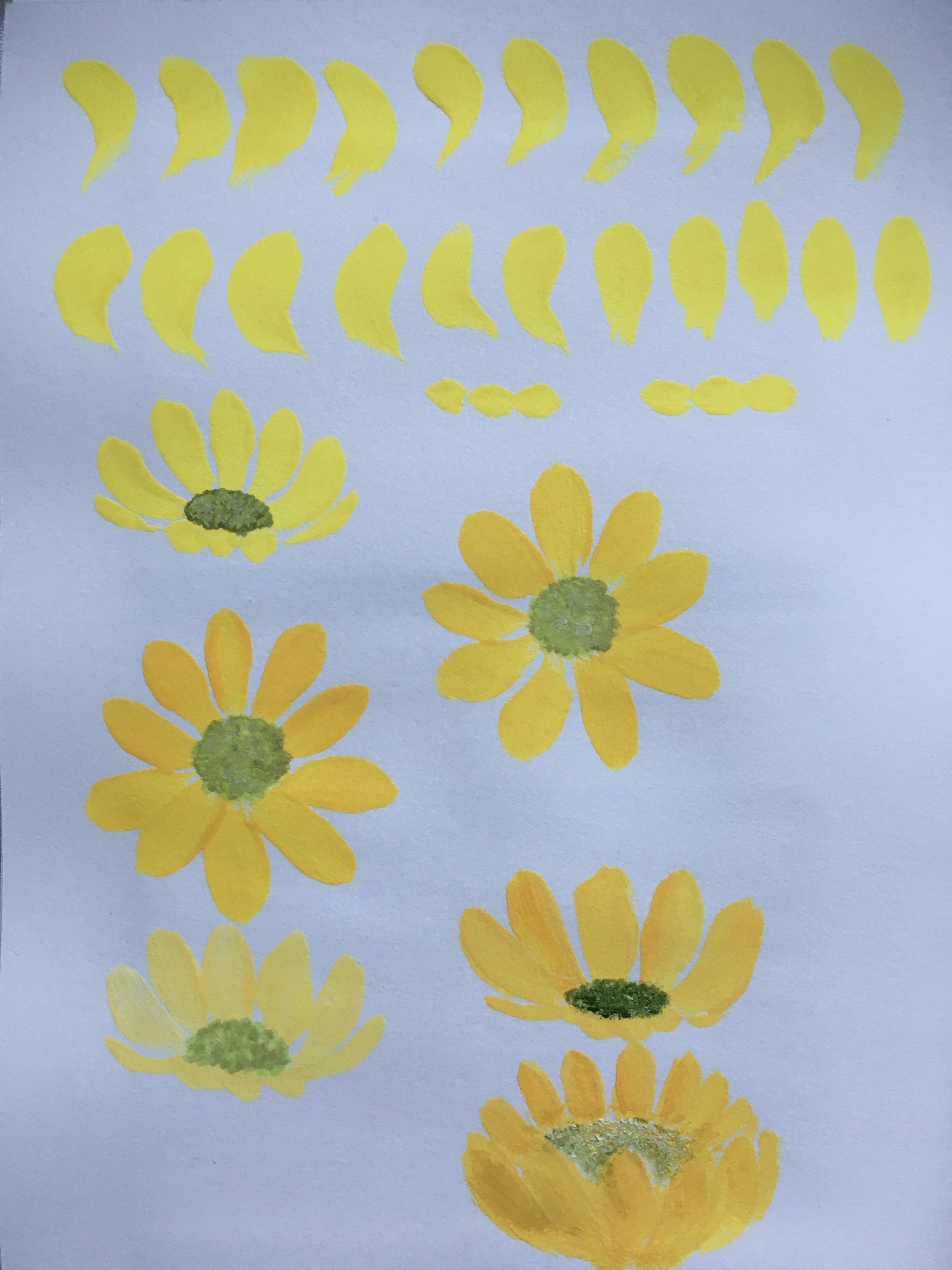 Daisies - image 2 - student project