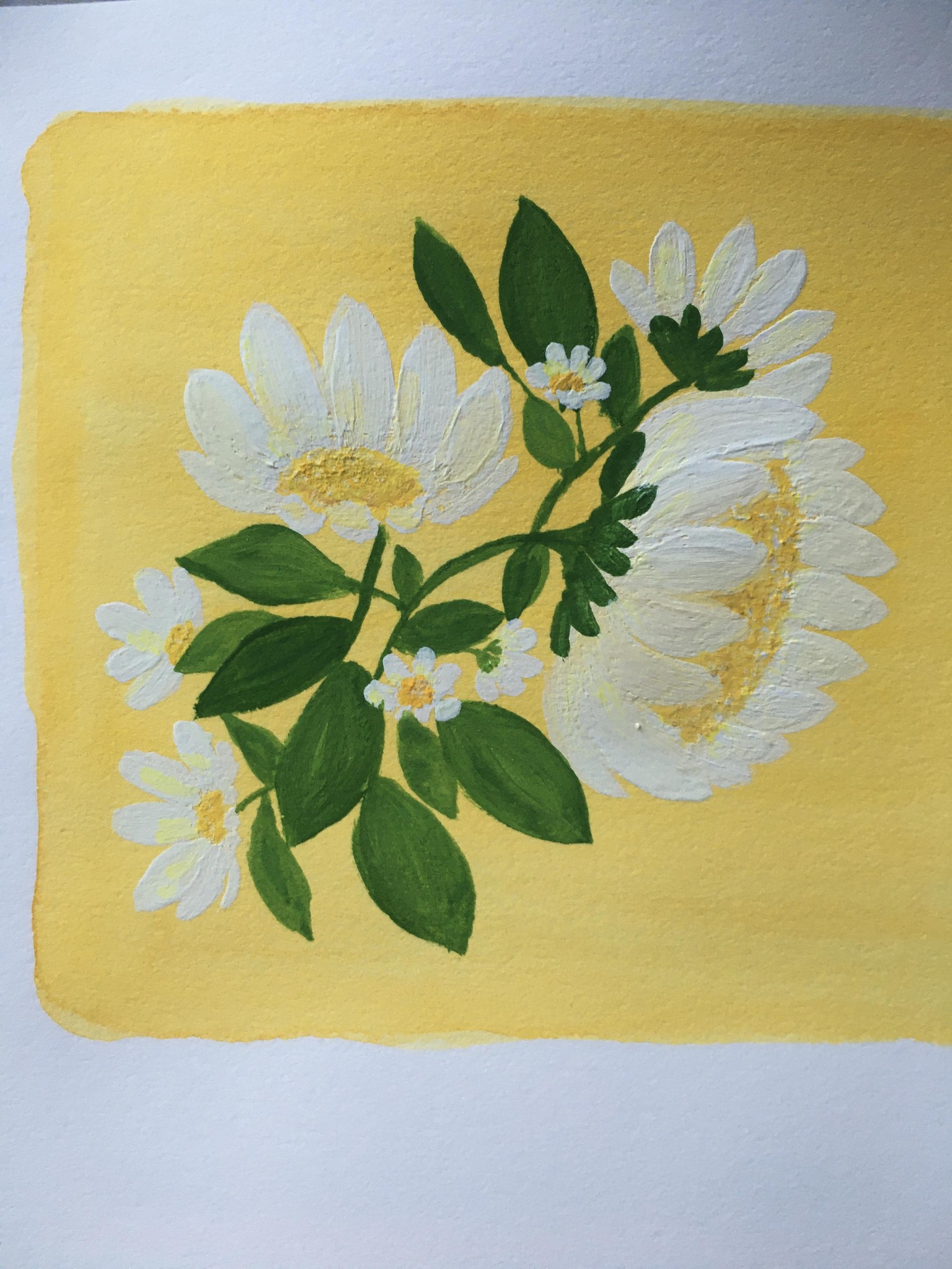 Daisies - image 1 - student project