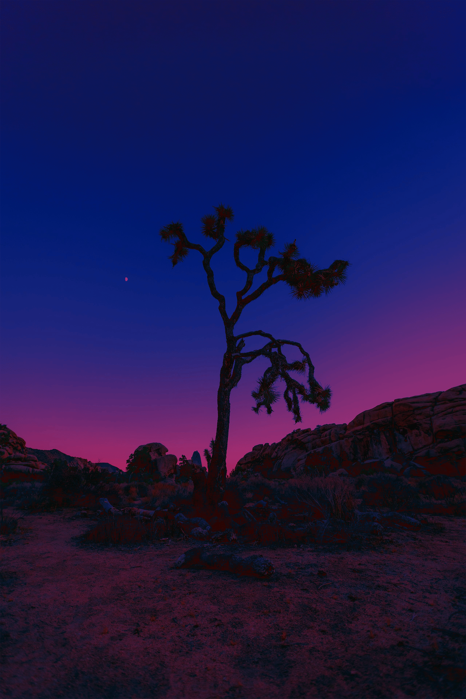 Color Grading - image 4 - student project