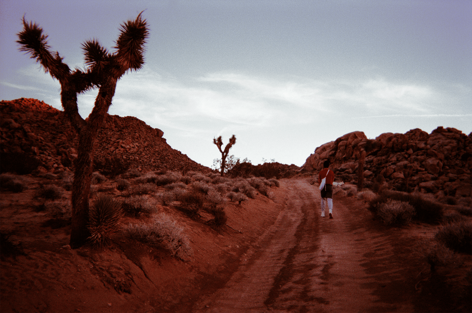 Color Grading - image 2 - student project