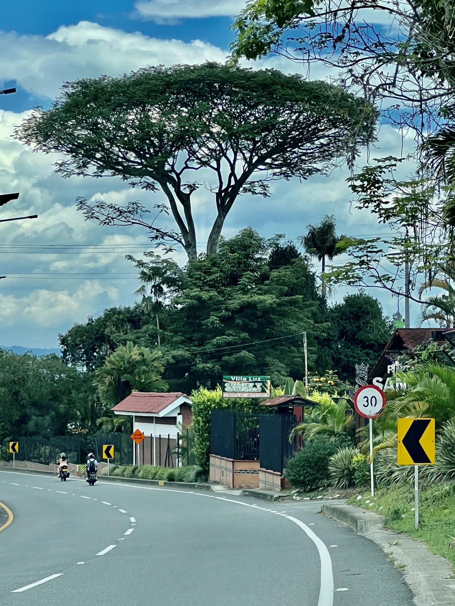 House and trees - image 2 - student project