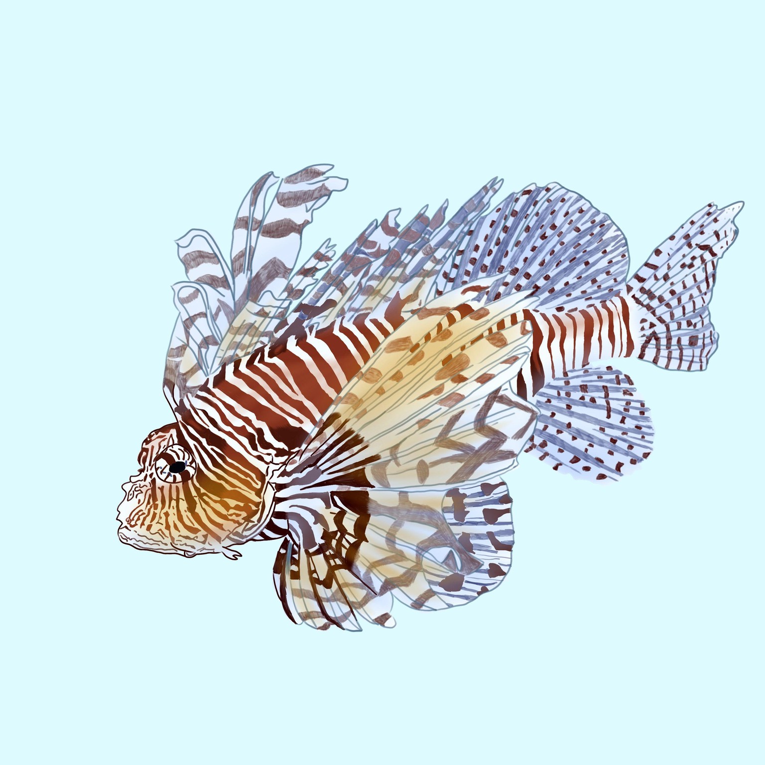 Discus Tropical Fish - image 2 - student project