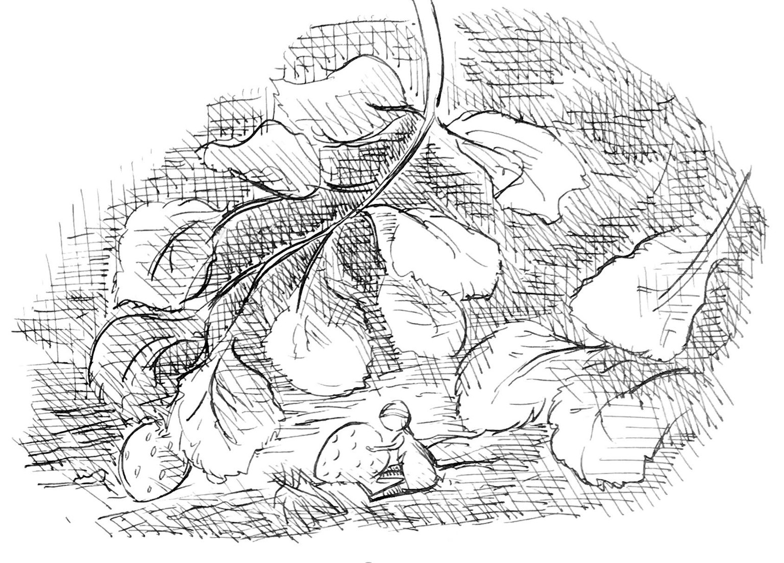 In the style of Edward Ardizzone - image 3 - student project
