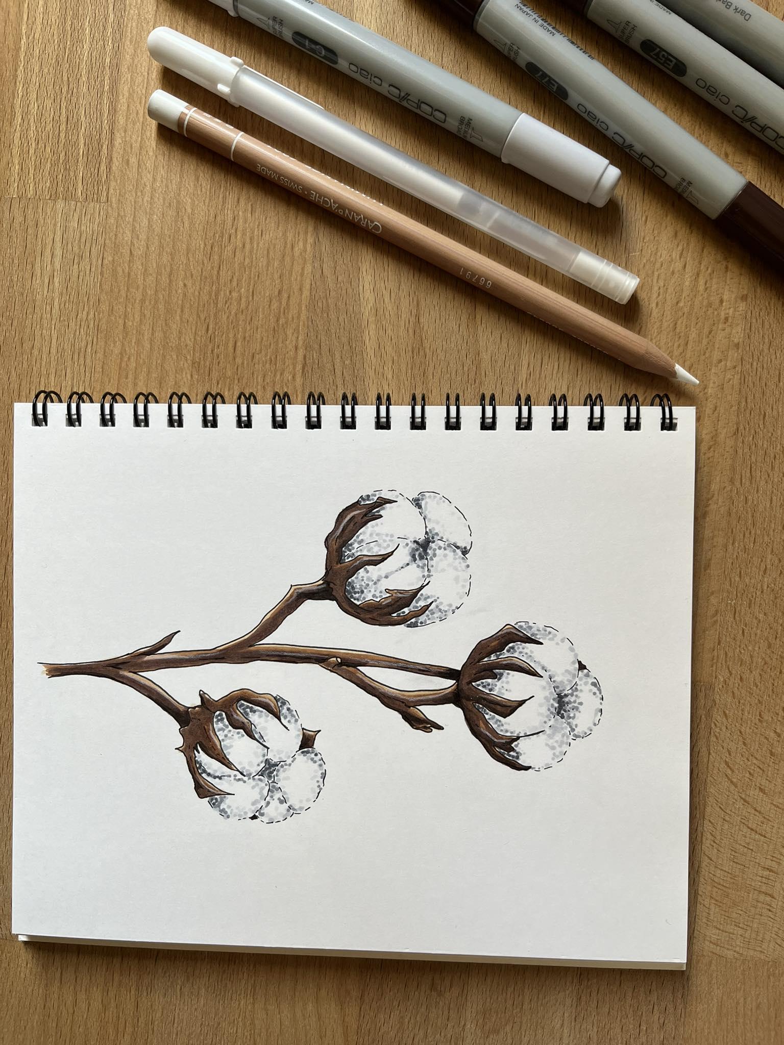 Cotton flower - image 1 - student project