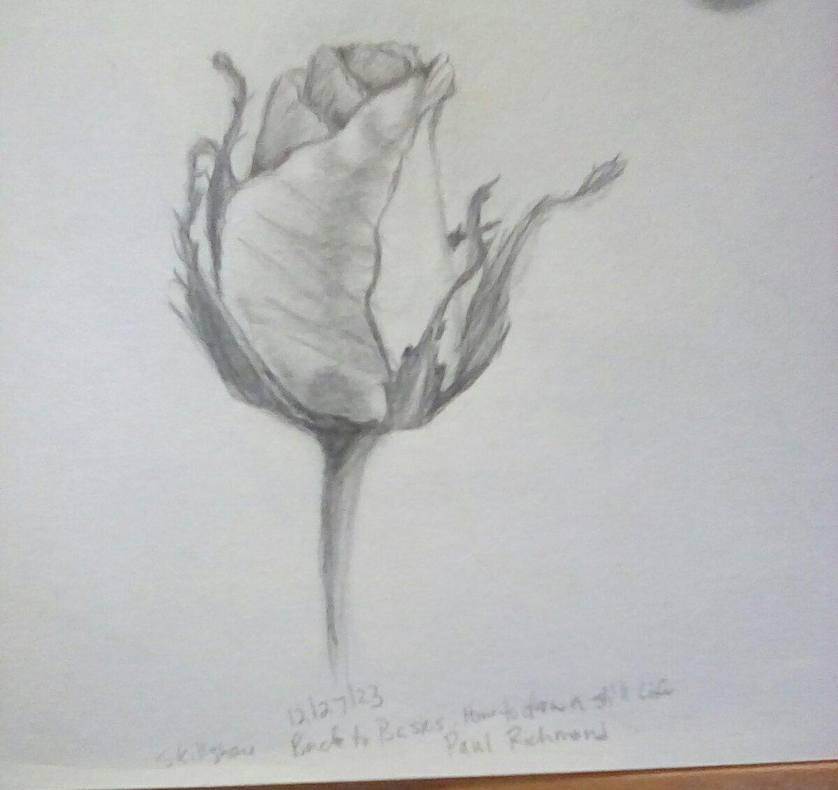 Pears and rose - image 1 - student project