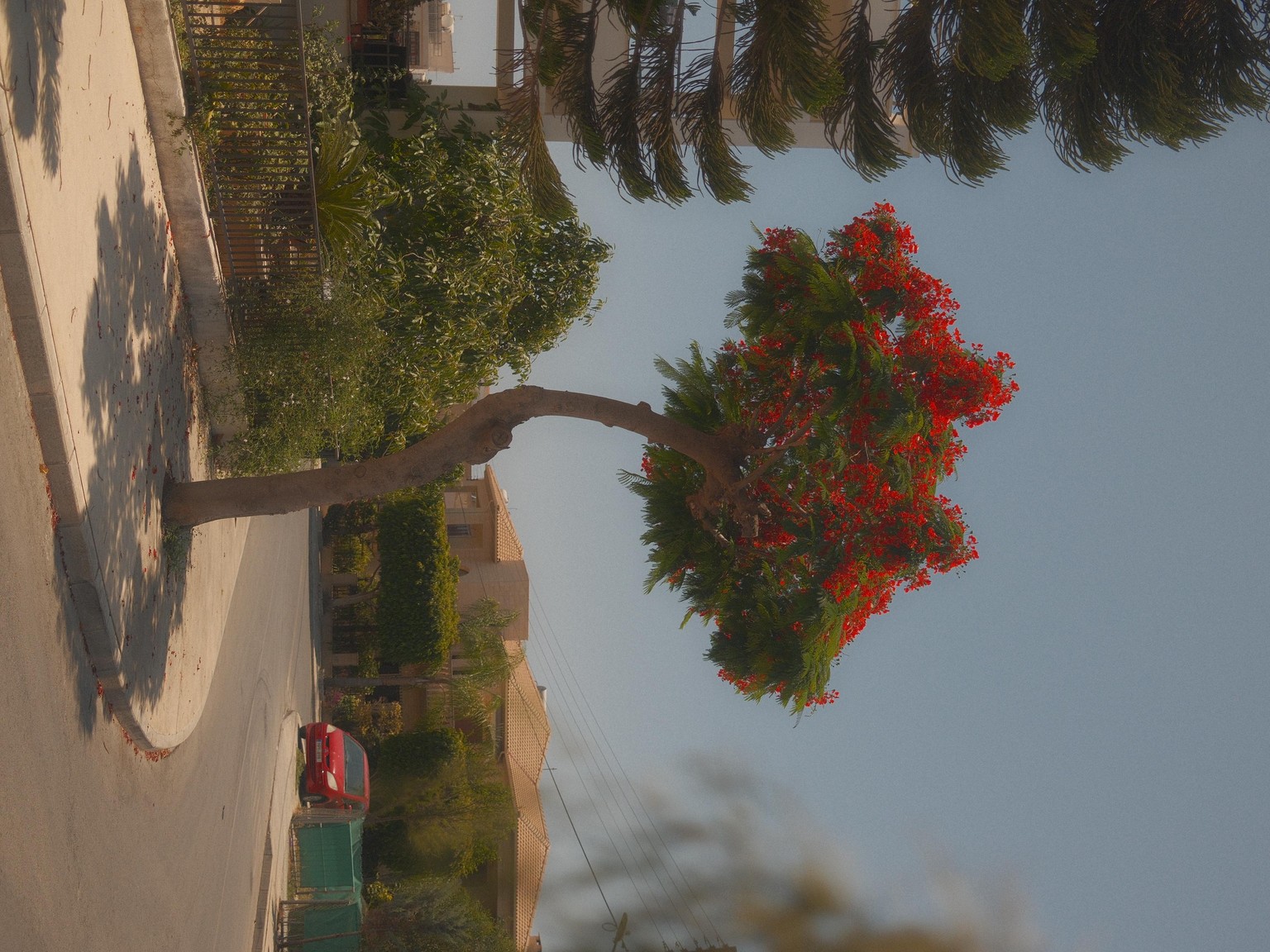 Short Walk - image 1 - student project