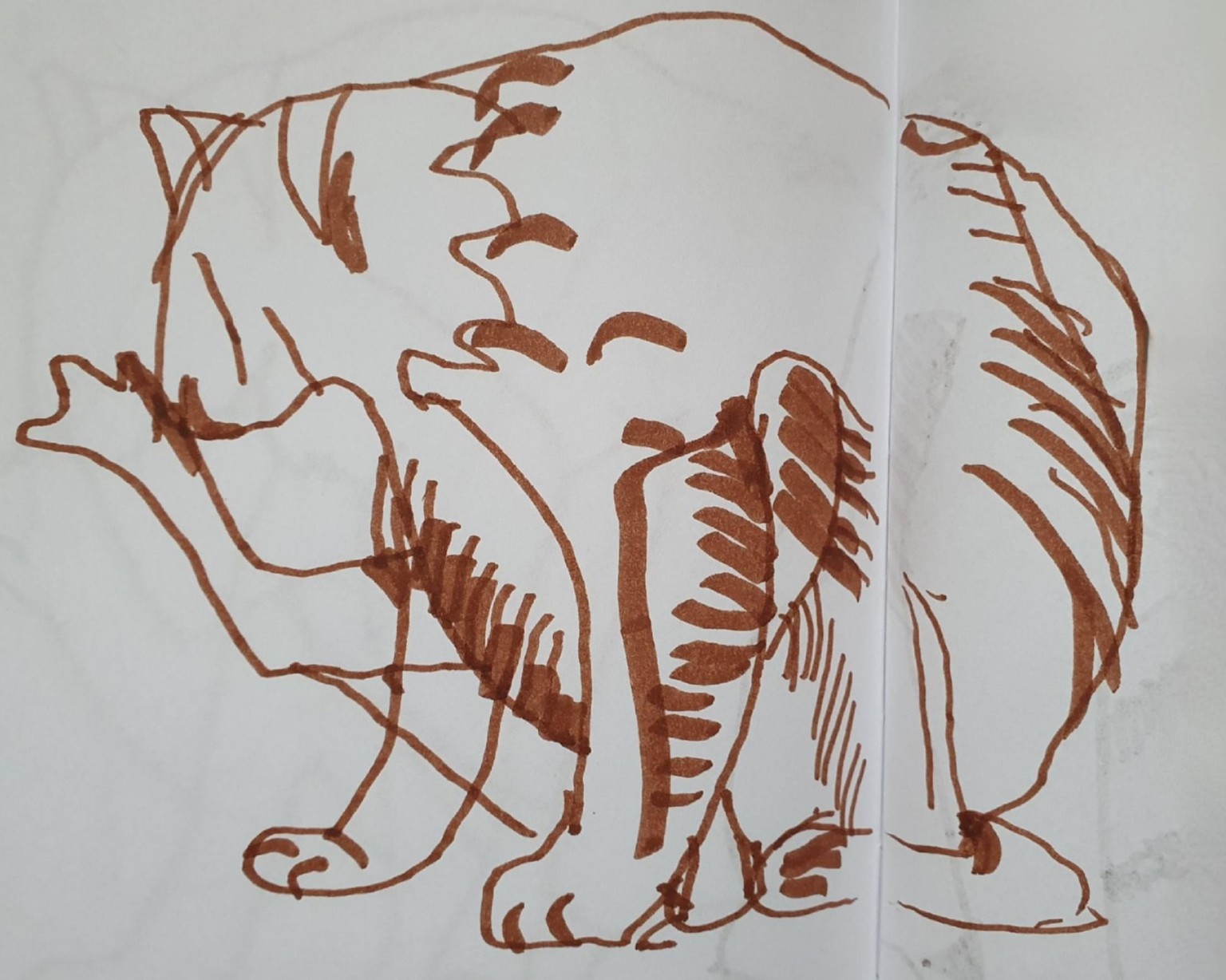 Line studies - image 1 - student project