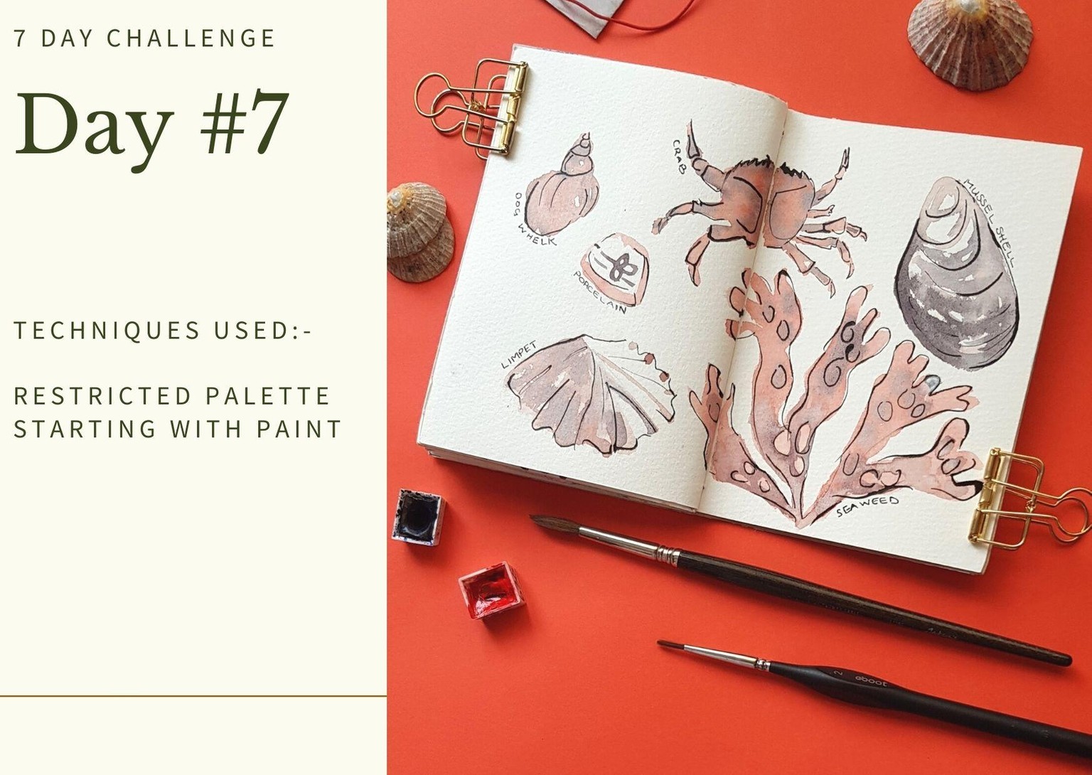 7 Day Challenge - image 7 - student project