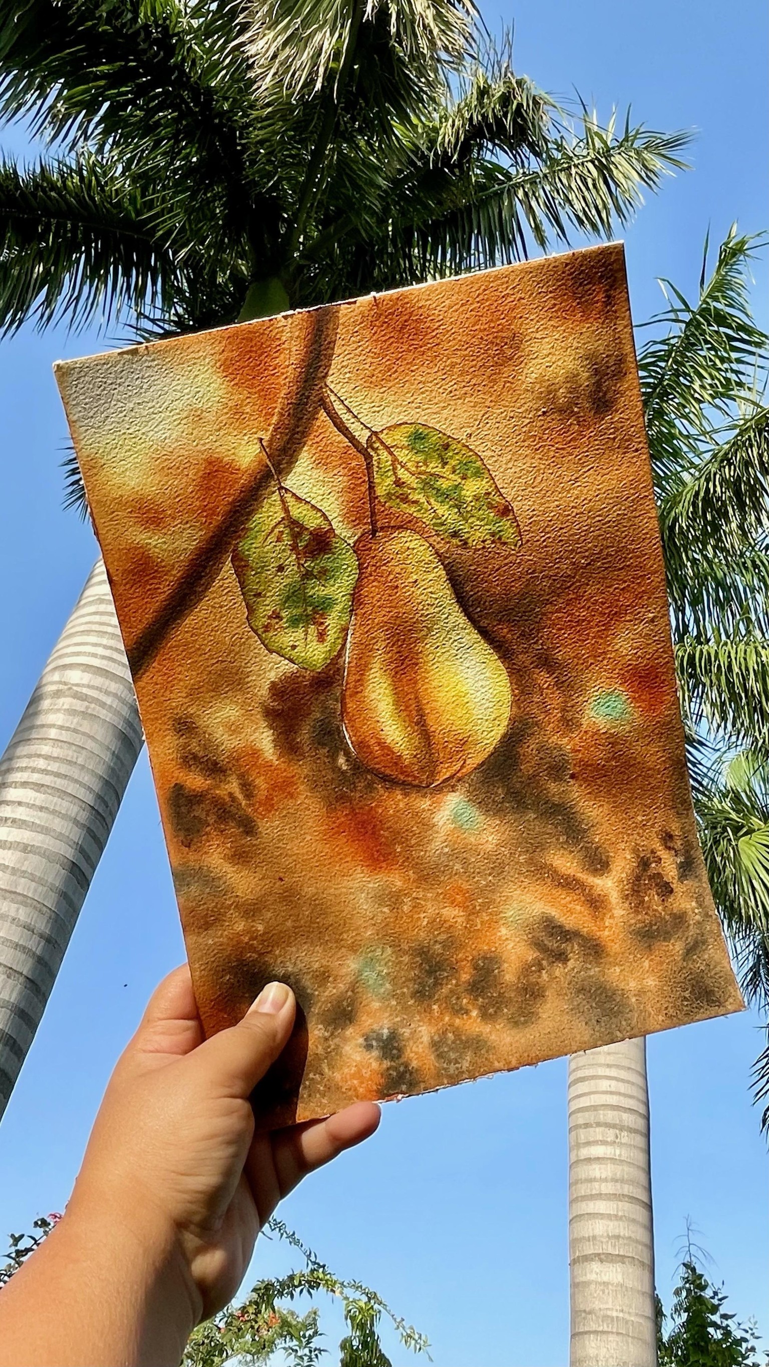 the juicy pear - image 1 - student project