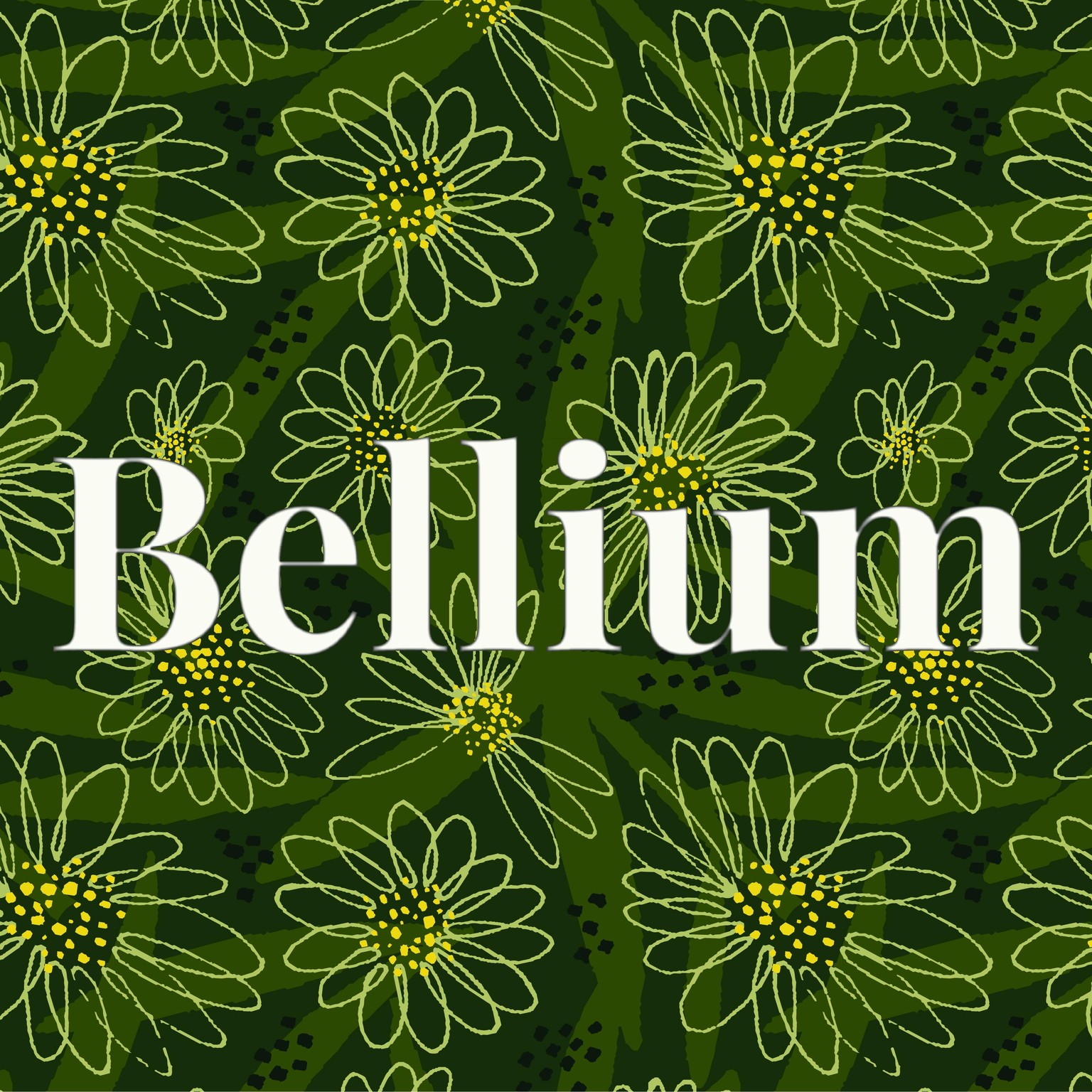 Bellium - image 4 - student project