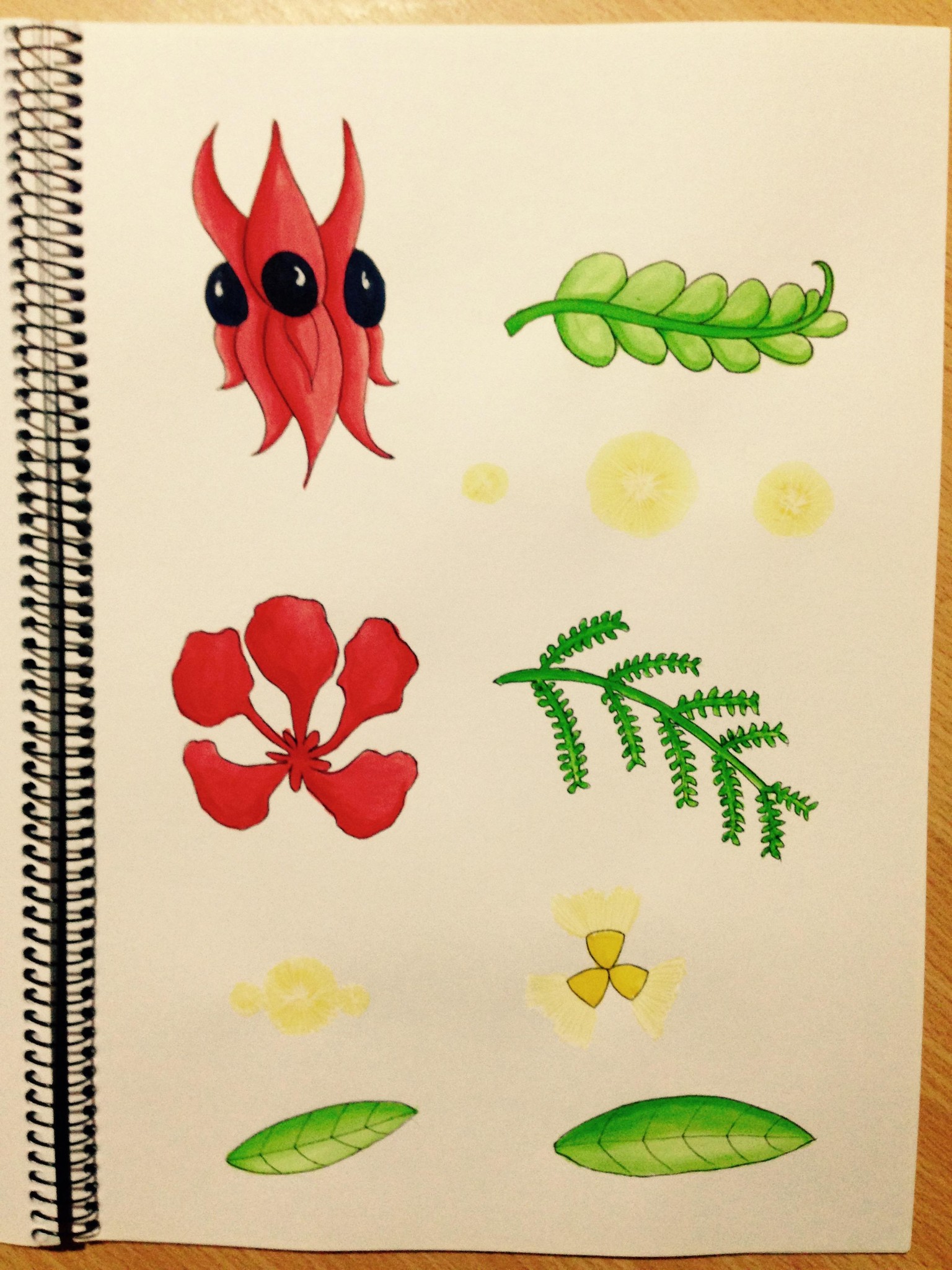 Australian Christmas Card Design, with Watercolours - image 8 - student project