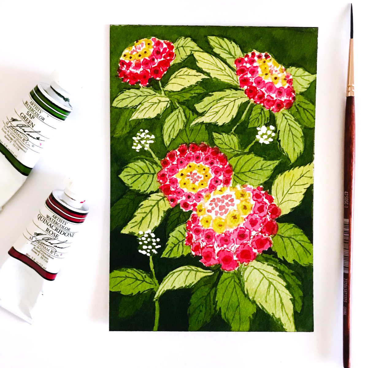 Lantana Camara - image 1 - student project