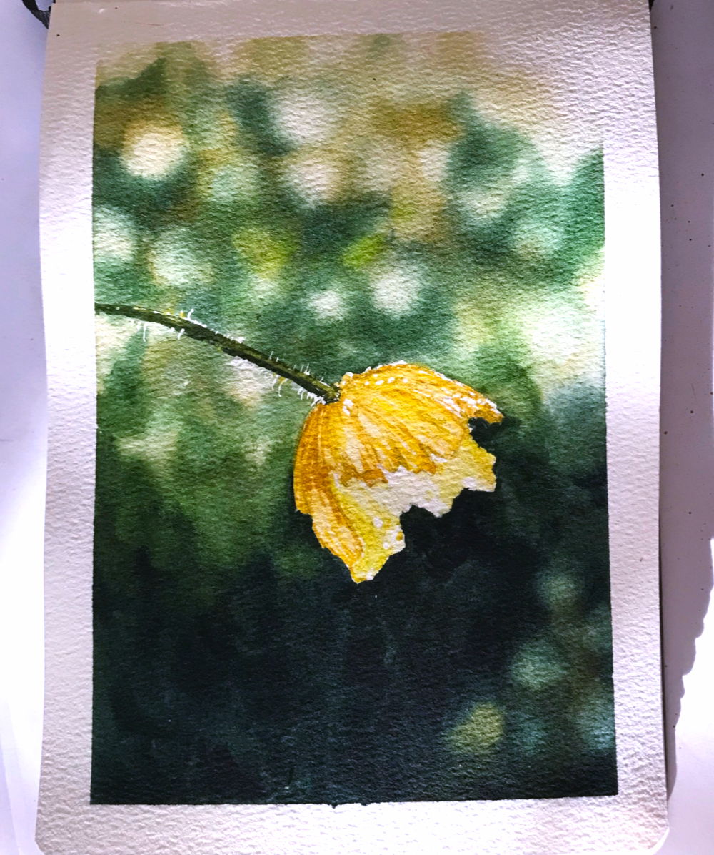 Modern Watercolor Techniques - image 1 - student project