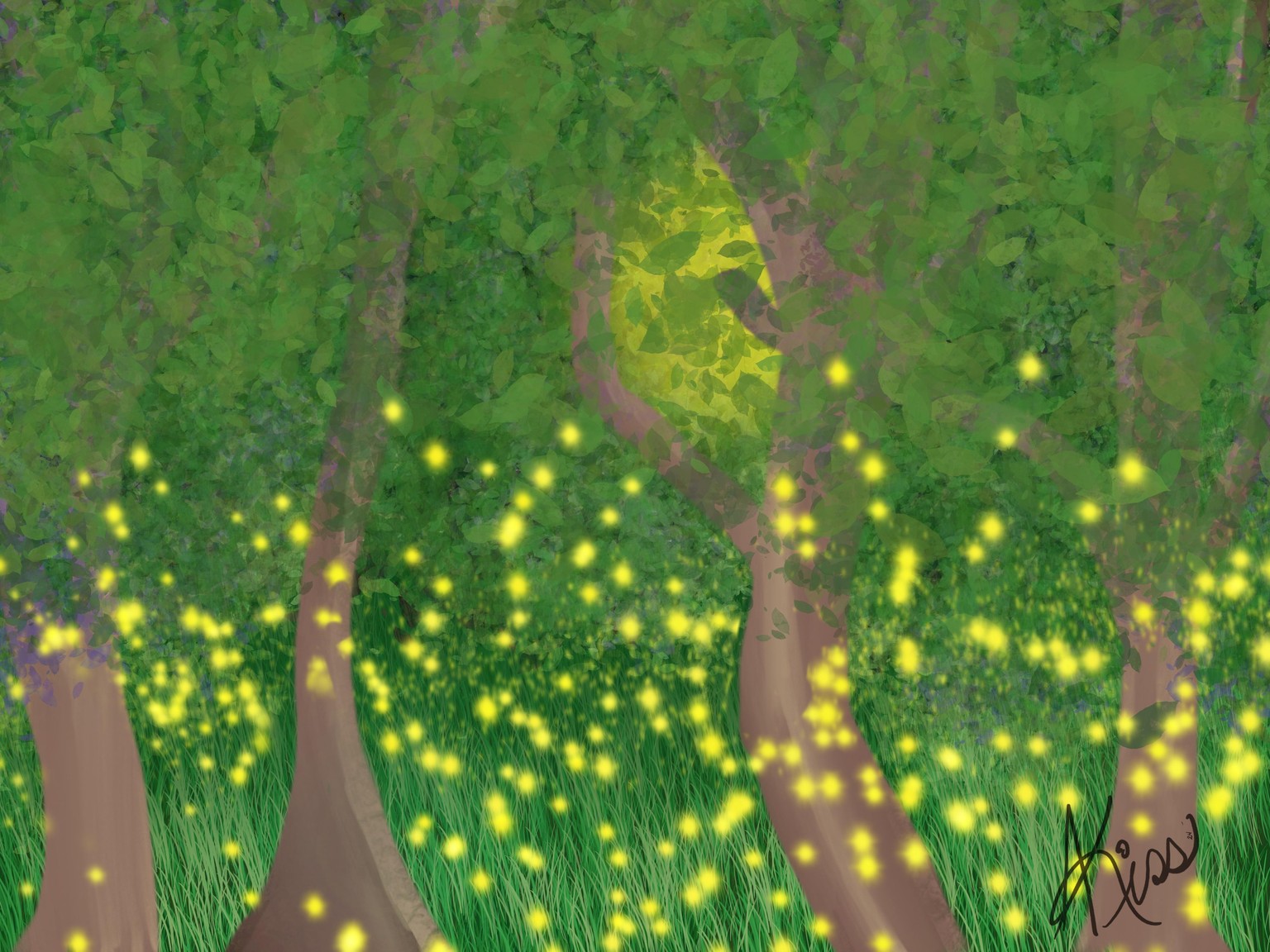 Firefly Forests - image 2 - student project