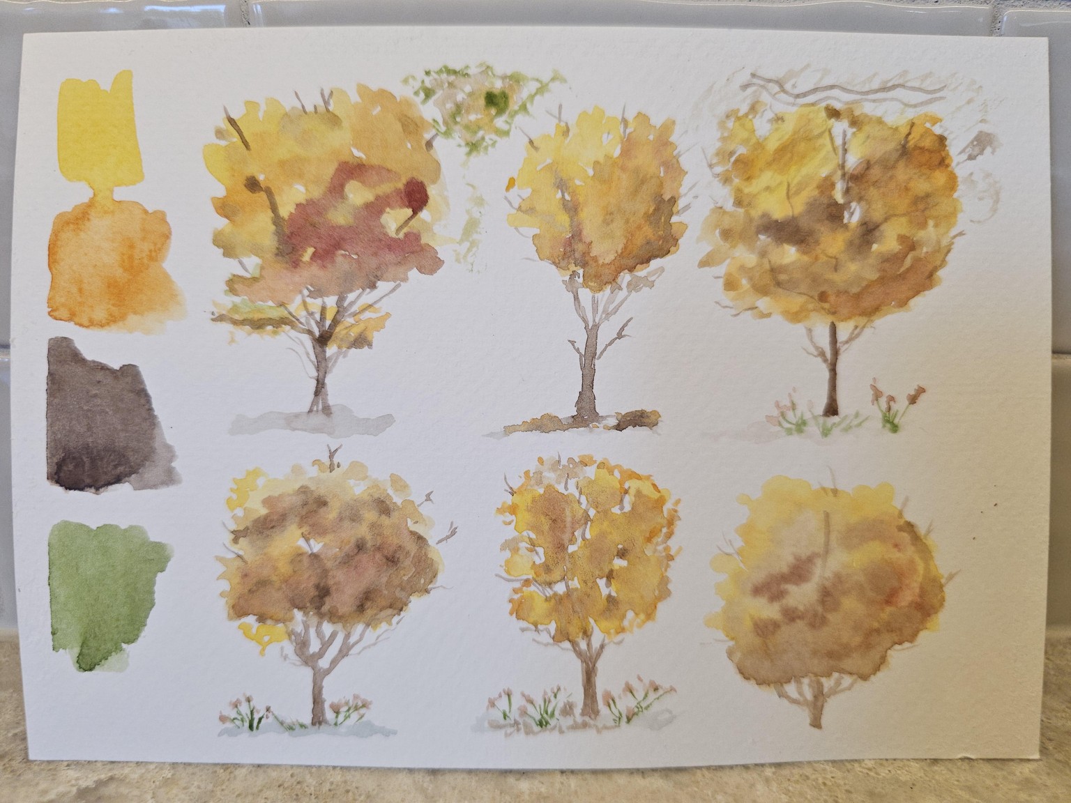 Trees, Trees and a Little More Trees - image 4 - student project