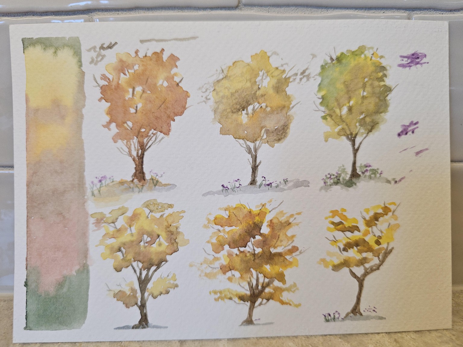 Trees, Trees and a Little More Trees - image 1 - student project