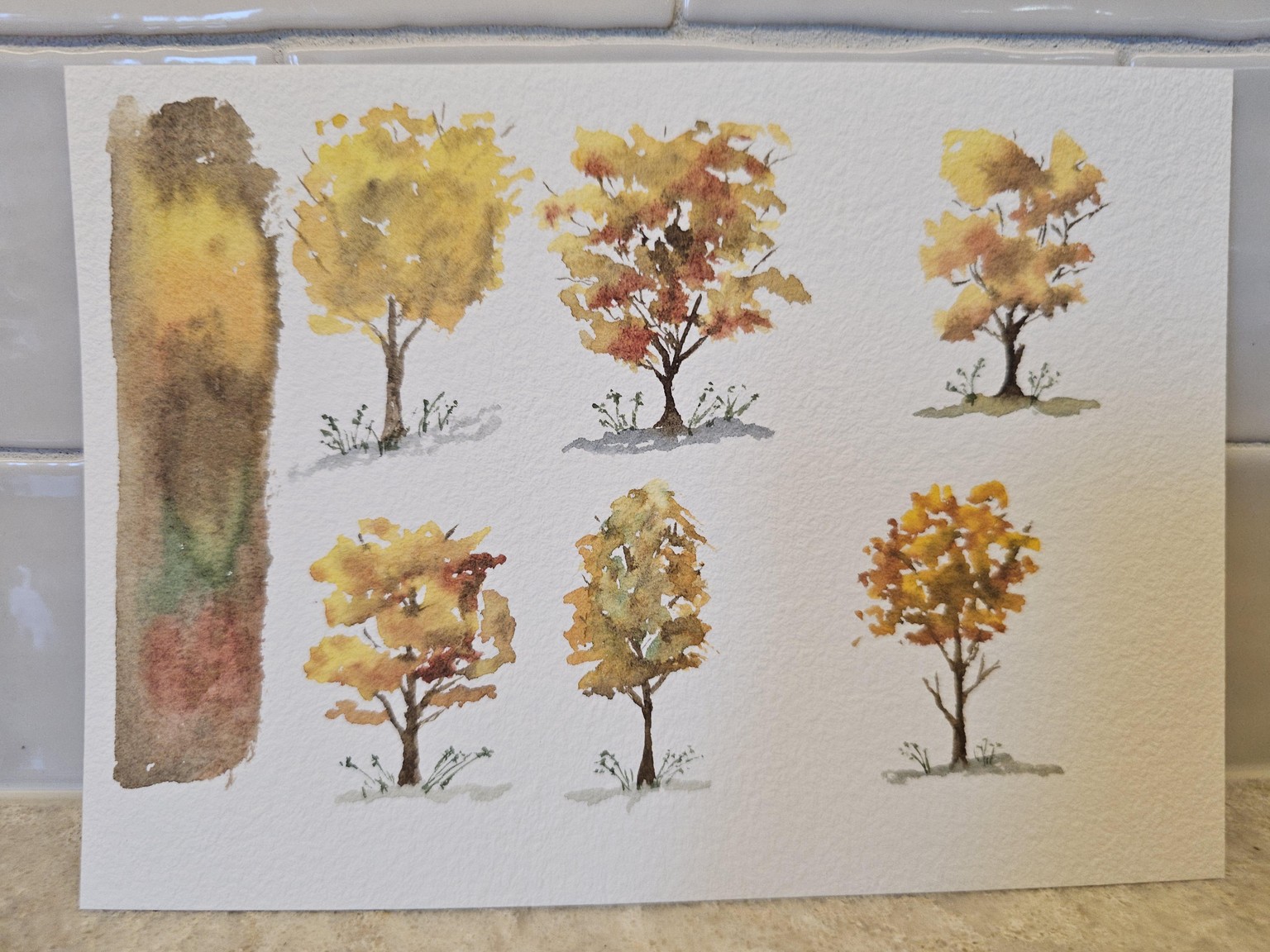 Trees, Trees and a Little More Trees - image 2 - student project