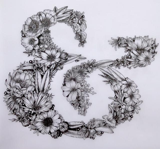 Ampersand and Patagonian flora - image 3 - student project