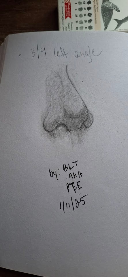 Nose - image 2 - student project