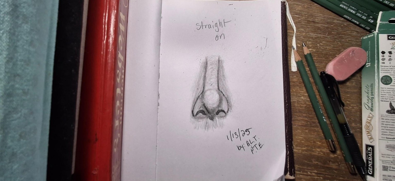 Nose - image 3 - student project