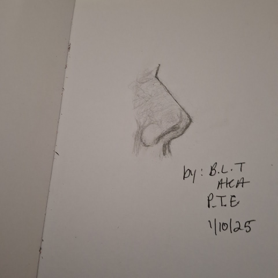 Nose - image 1 - student project