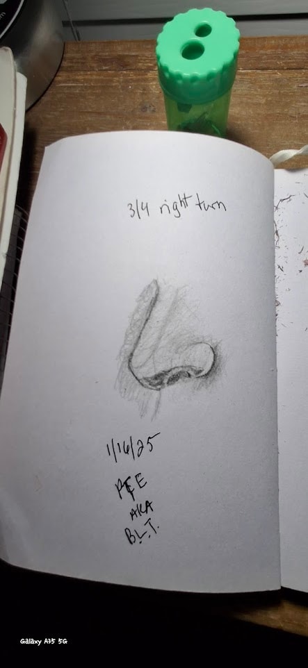 Nose - image 4 - student project
