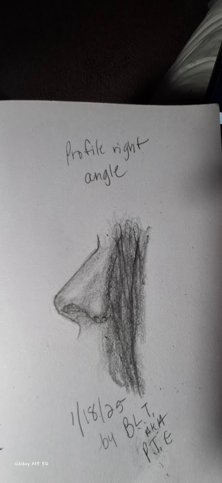 Nose - image 5 - student project