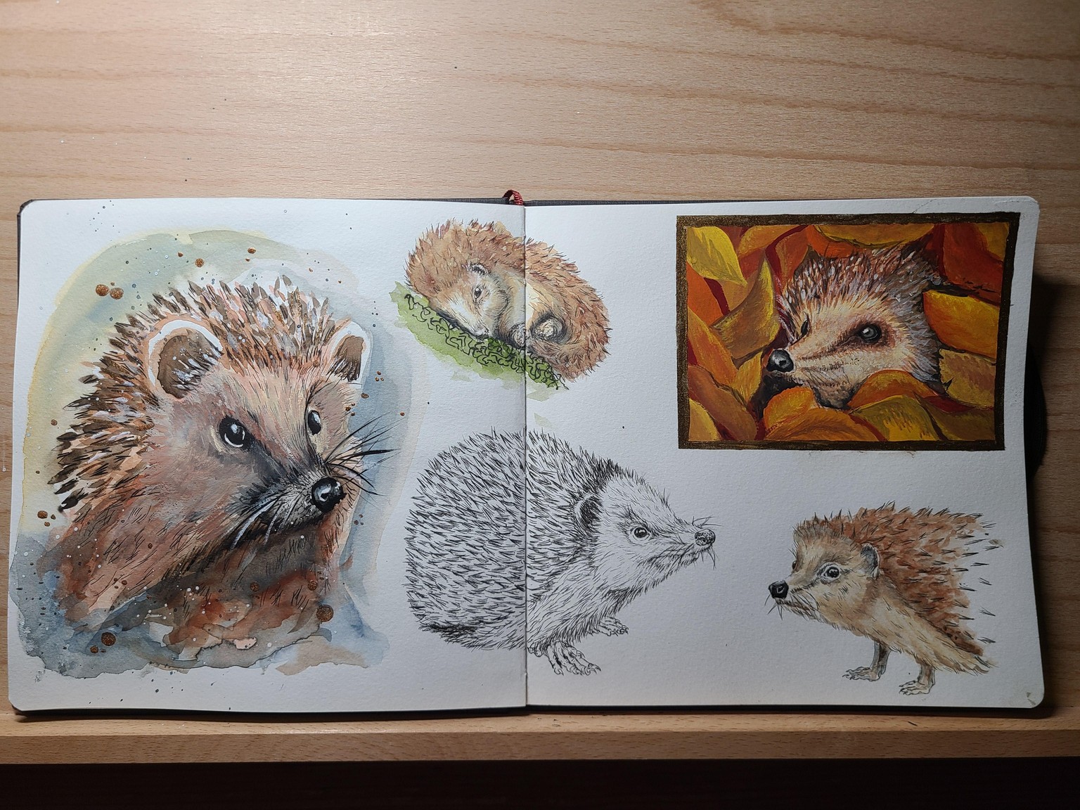 HEDGEHOG - image 1 - student project