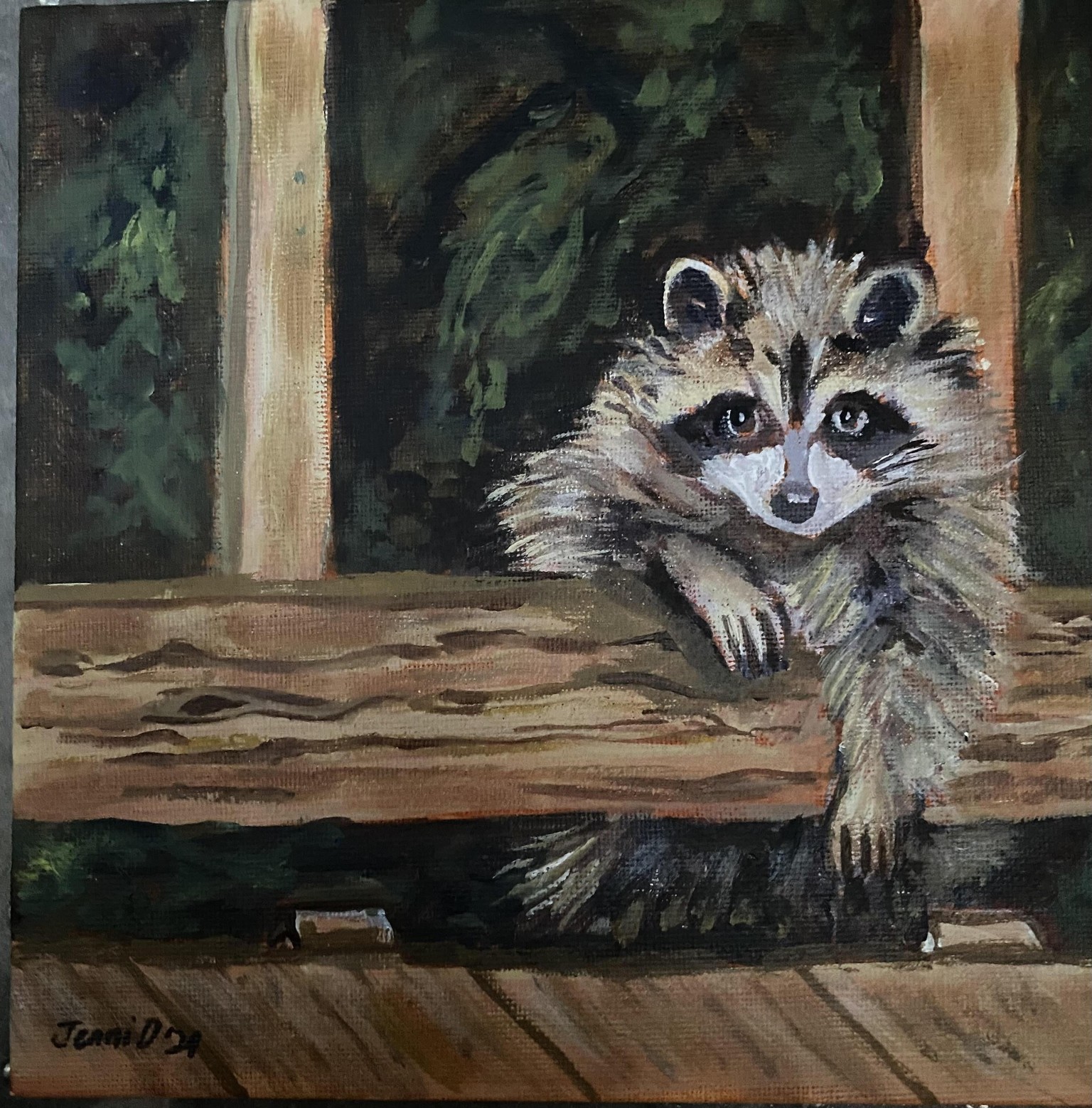 Racoon - image 1 - student project