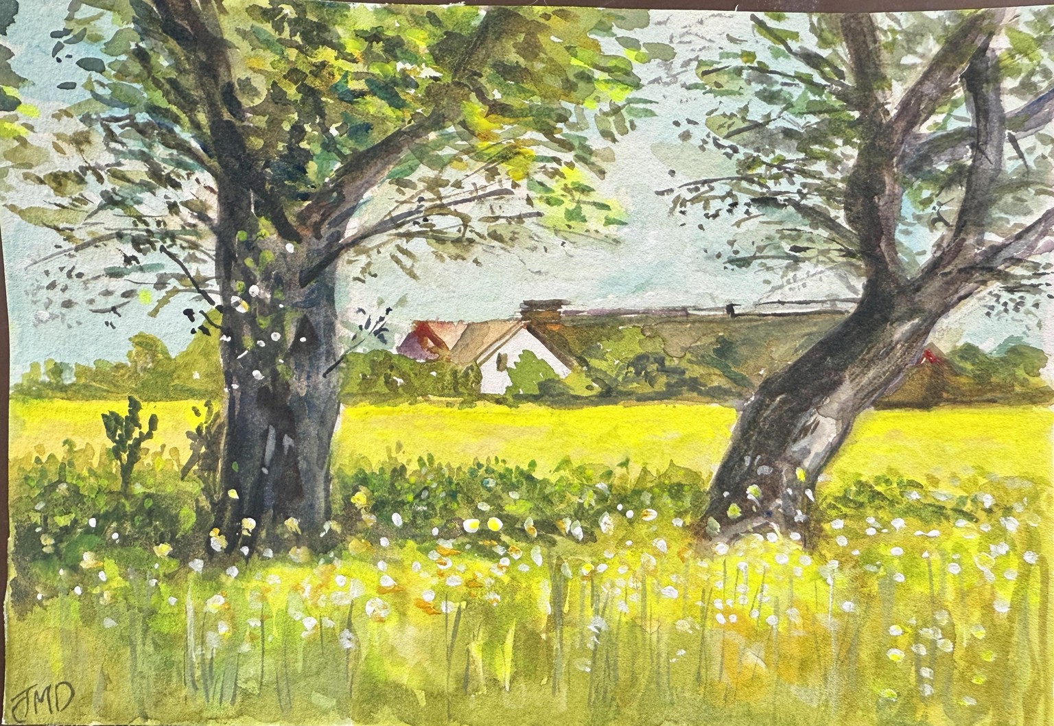 Swedish Field - image 1 - student project