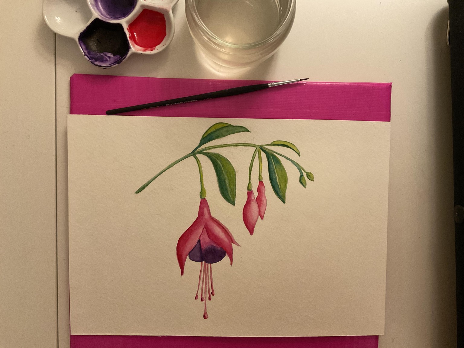 Watercolor fuschias - image 1 - student project